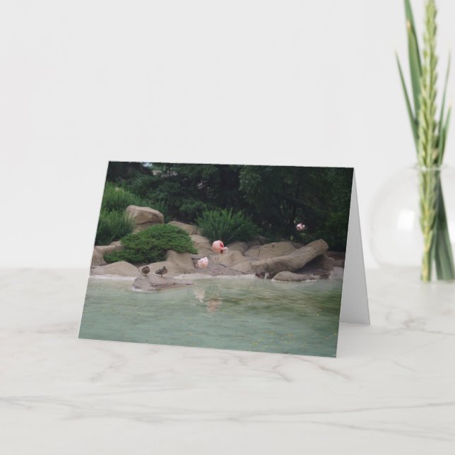"Ducks & Flamingos" Thank You Card (Front)