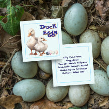 Ducks Fresh Eggs Farm Themed Square 