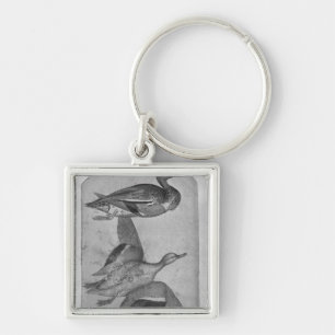 Ducks, from the The Vallardi Album Key Ring