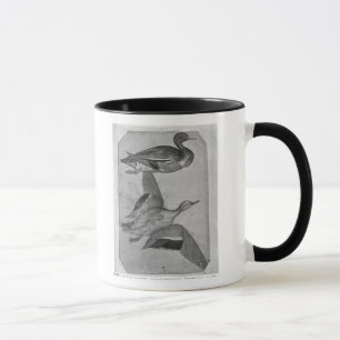 Ducks, from the The Vallardi Album Mug