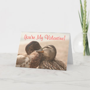 Ducks Funny Still My Valentines Card
