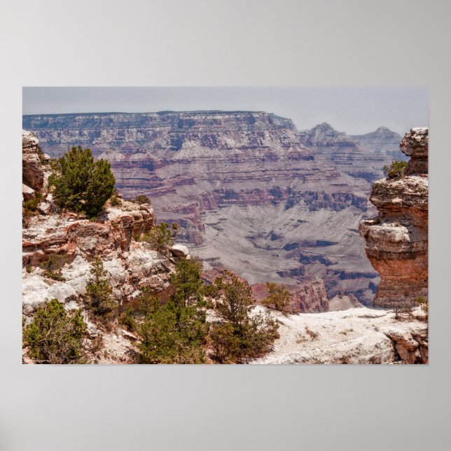 Duck's Grand View Poster (Front)