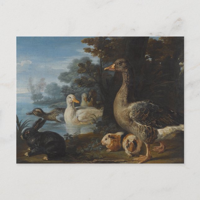 Ducks Guinea Pigs and a Rabbit in a Wooded Landsc Postcard (Front)