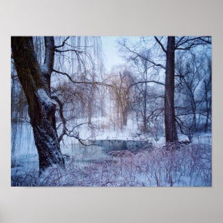 Ducks In A Frozen Pond In New York’s Central Park Poster