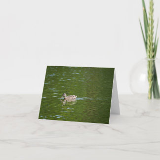 Ducks in a Green Lake (2) Thank You Card