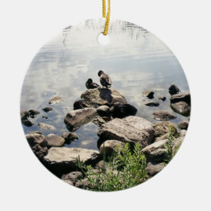 ducks in a river. ducks resting on rocks in summer ceramic ornament