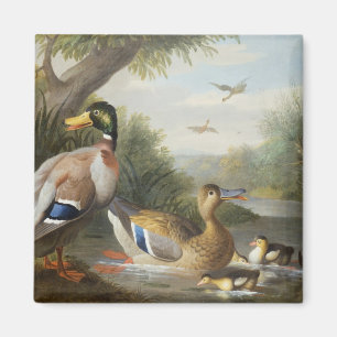 Ducks in a River Landscape Magnet