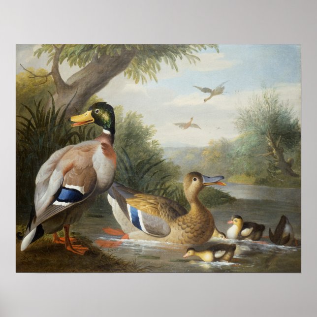 Ducks in a River Landscape Poster (Front)