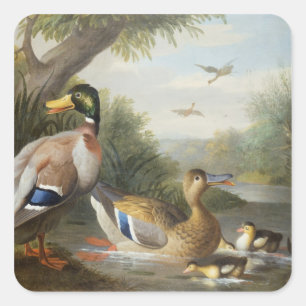 Ducks in a River Landscape Square Sticker