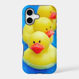 Ducks in a row