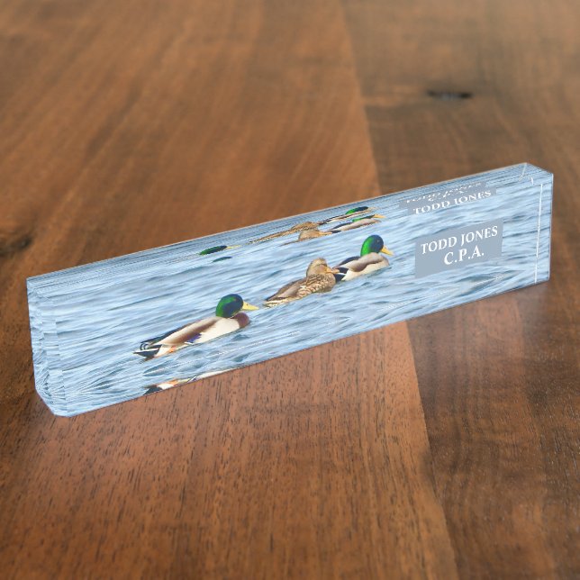 DUCKS IN A ROW GLIDING ACROSS POND/PERSONALIZE IT NAMEPLATE (Side)