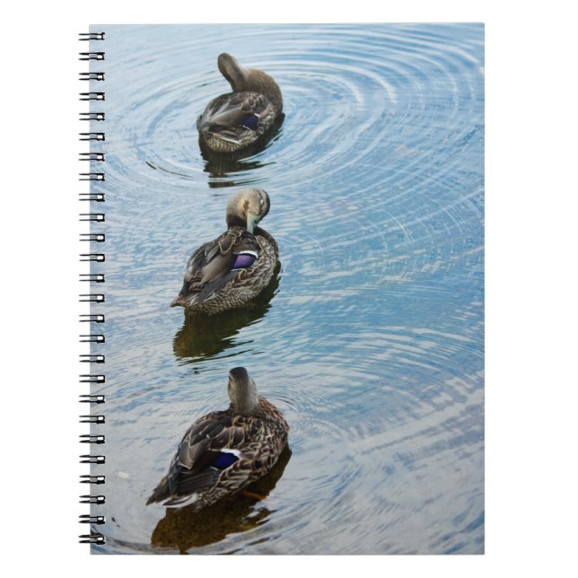 Ducks in a Row Notebook (Front)
