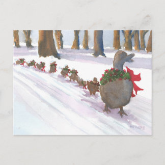 ducks in boston common during the winter holidays holiday postcard