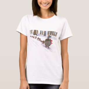 ducks in boston common during the winter holidays T-Shirt