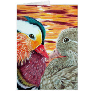Ducks in Love