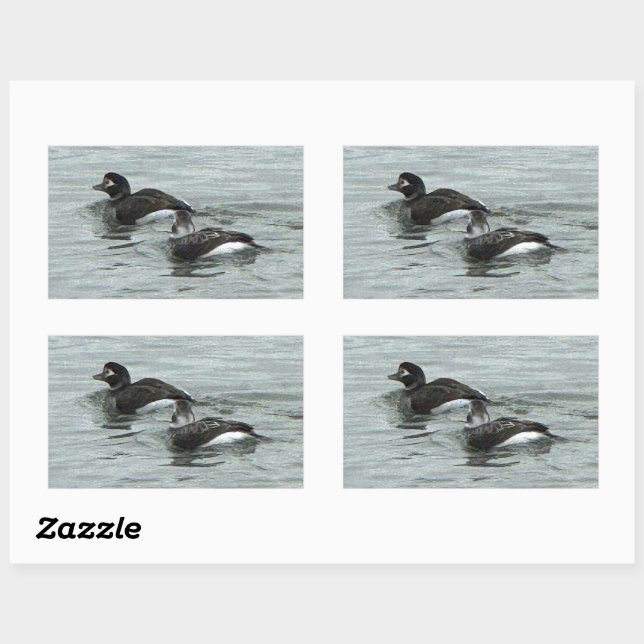 Ducks in Ocean Photo Stickers (Sheet)