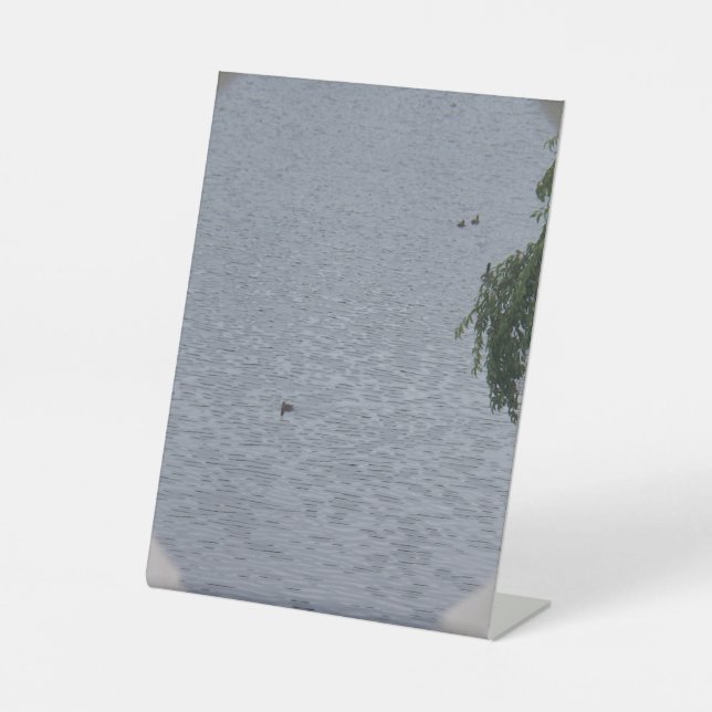 Ducks In Pond Photo Pedestal Sign (Front)
