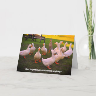Ducks in the Park Funny Duck Joke Birthday Card