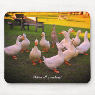 Ducks in the Park Funny We're all Quackers Mouse Pad
