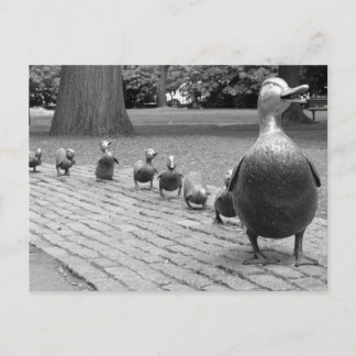 Ducks in the Public Garden - Boston Postcard