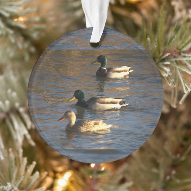 Ducks in Water Ornament (Tree)