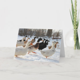 Ducks in Winter Snow Greeting Card