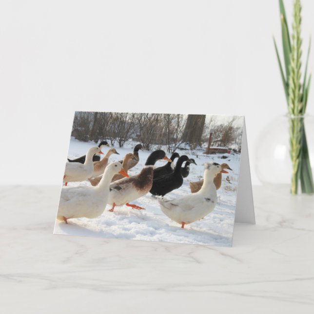 Ducks in Winter Snow Greeting Card (Front)