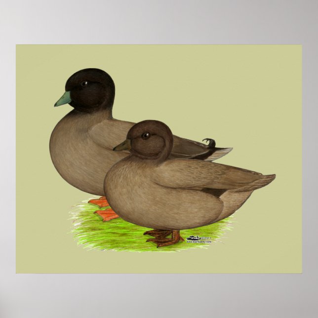 Ducks:  Khaki Calls Poster (Front)
