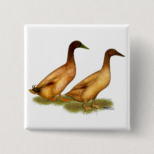 Ducks: Khaki Campbell 15 Cm Square Badge