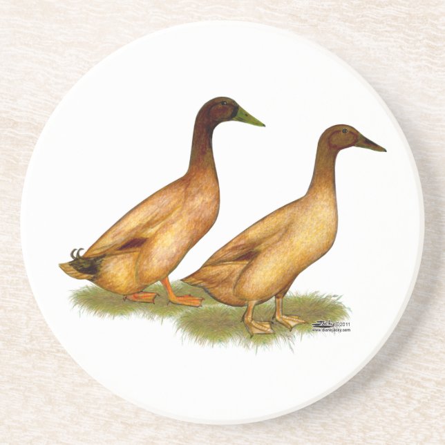 Ducks:  Khaki Campbell Coaster (Front)