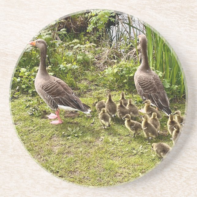 Duck's life.. coaster (Front)