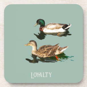 Ducks loyalty coaster