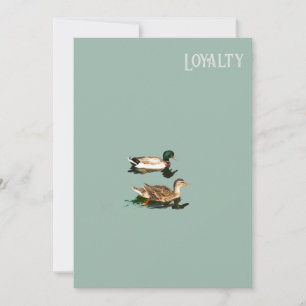 Ducks loyalty save the date