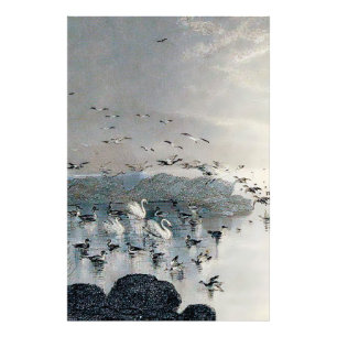 Ducks, Mallards and Swans on the lake at sunset Photo Print