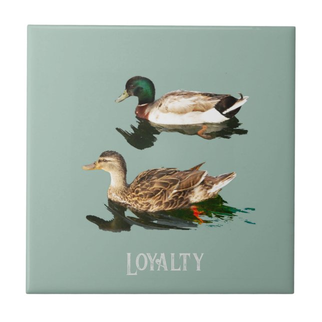 Ducks mallards ceramic tile (Front)