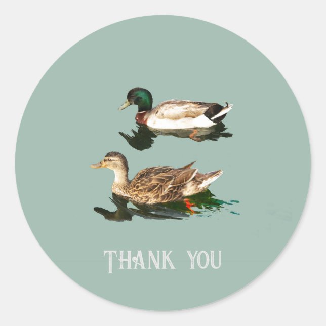 Ducks mallards classic round sticker (Front)