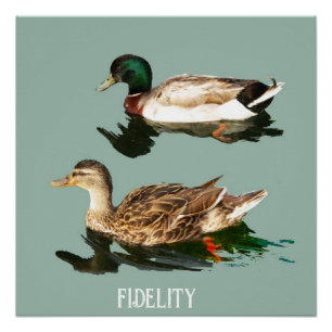 Ducks mallards edible frosting rounds poster