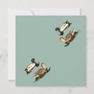 Ducks mallards holiday card