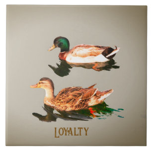 Ducks mallards. Loyalty Ceramic Tile