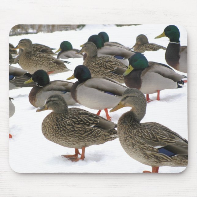 Ducks! Mousepad (Front)