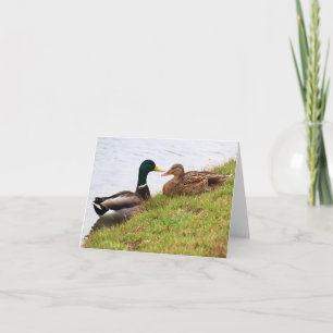 Ducks note card (blank)