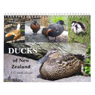 Ducks of New Zealand Calendar