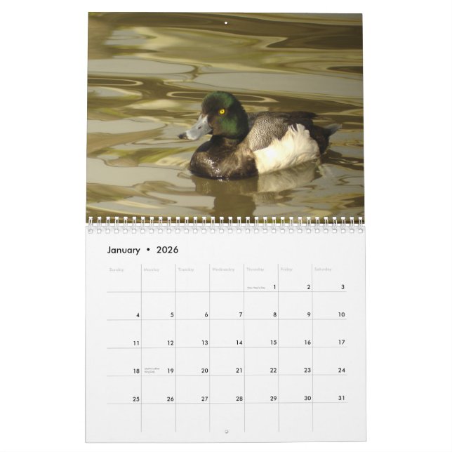 Ducks of North America 2010 Calendar (Jan 2026)