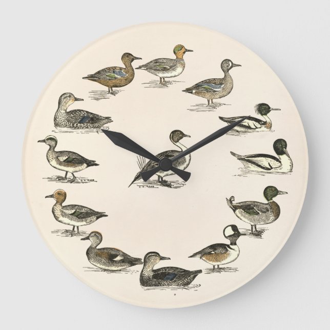 Ducks of North America Illustrations Large Clock (Front)