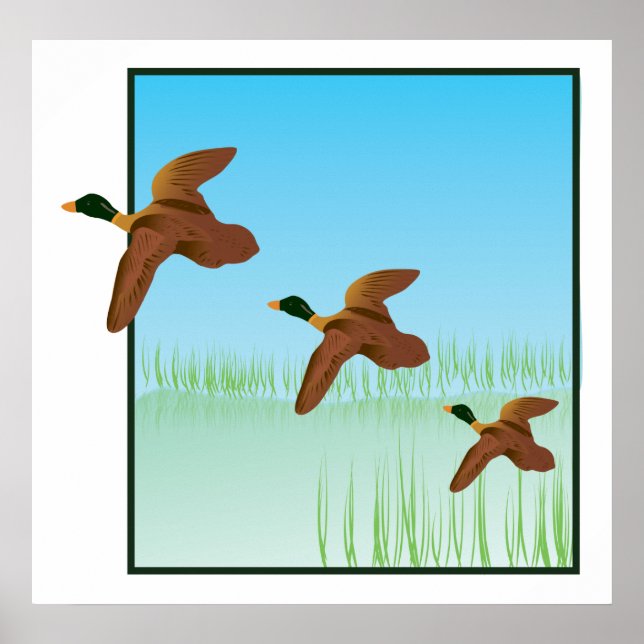 Ducks on a Pond Poster (Front)