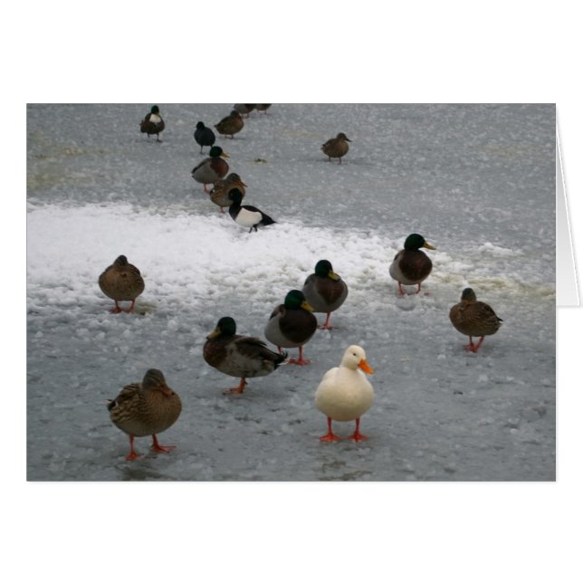 Ducks on Ice (Front Horizontal)