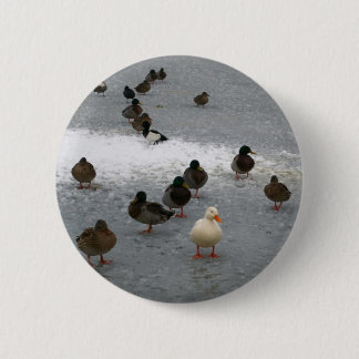 Ducks on Ice 6 Cm Round Badge