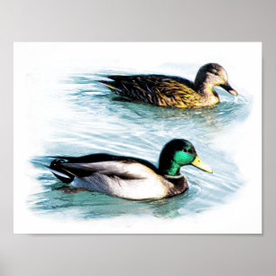 Ducks on the Lake Poster