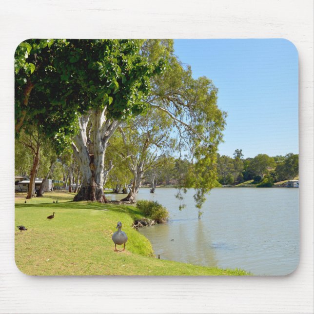 Ducks On The River Murray Australia, Mouse Pad (Front)