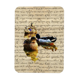 Ducks on vintage paper magnet